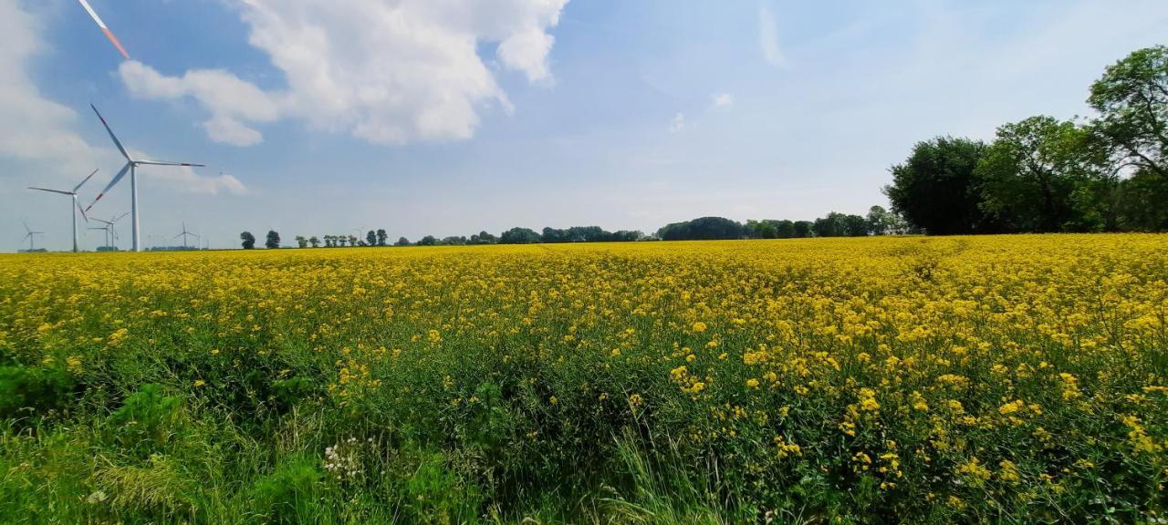 Ferienwohnung Goden-Wind Westerdeichstrich Zewnętrze zdjęcie